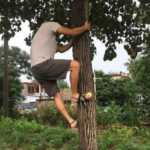 Púas de escalada de acero para árboles, herramienta para calzado de caza, recolección de frutas y observación. - Product Image 5