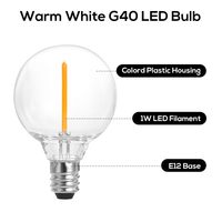 5 Watt E12 Base B22 Ampoules LED équivalentes Intérieur Extérieur Globe Guirlande Lumineuse 4000K CCT Remplacement du corps de la lampe en verre pour une utilisation en intérieur