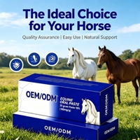 Complément nutritionnel aromatisé à la pomme pour chevaux - Gel vitaminique et minéral - Pommade sûre - Marque OEM - Durée de conservation de 2 ans