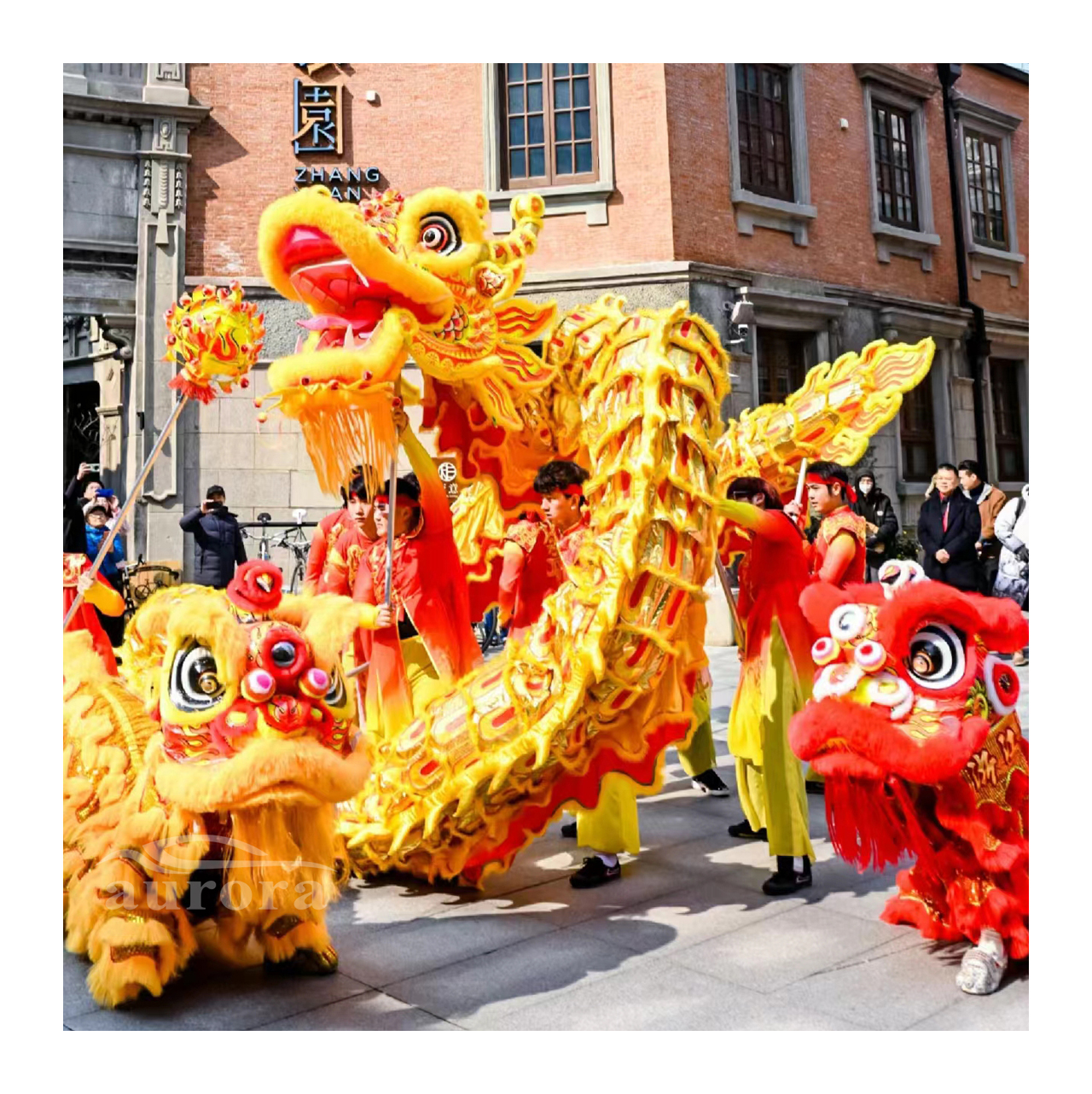 新品未使用　dance with dragon Playground Children | Sport Dance Dragons | Children