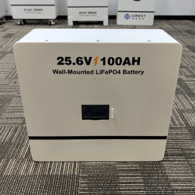 Eco-Friendly Wall-Mounted 2.56kWh Lithium Iron Phosphate Batteries 25.6v 100ah ESS Wall-mounted Lifepo4 Batteries with Smart Bms