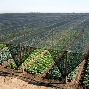 Toiles <span class=keywords><strong>d</strong></span>'<span class=keywords><strong>ombrage</strong></span> <span class=keywords><strong>anti</strong></span>-<span class=keywords><strong>UV</strong></span> en HDPE pour serres agricoles - Product Image 3