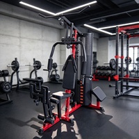 Équipement de musculation multi-stations pour la maison, machine d'entraînement de force avec pile de poids, équipement de fitness pour un entraînement complet du corps
