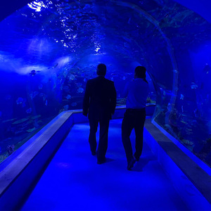 Fabrieksgemaakte, nieuwe stijl, onregelmatige, milieuvriendelijke, transparante, cilindrische, grote <span class=keywords><strong>aquarium</strong></span> van acrylplastic - Product Image 4