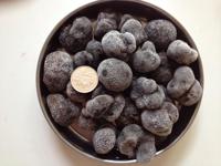 Boîte d'emballage promotionnelle de truffes du désert séchées de meilleure qualité