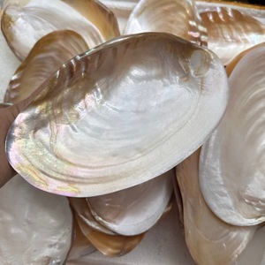 Assiette <span class=keywords><strong>de</strong></span> service en nacre naturelle écologique polie, vaisselle pour hôtel et restaurant - Product Image 5