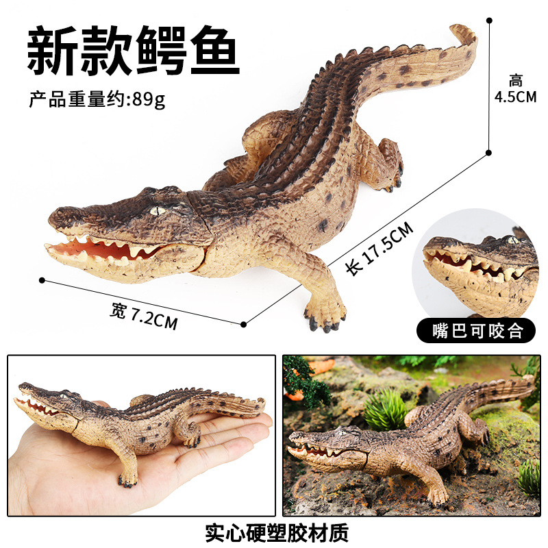 จระเข้ใหม่ (ขากรรไกรขยับได้)