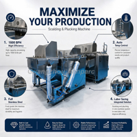 Machine à plumer la volaille automatique 1000BPH en acier inoxydable SUS304 pour l'échaudage et le plumage des poulets, canards et oies – Équipement d'abattage