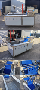 نوع المنتج معدات فواكه وخضروات-فعالة لغسيل الفواكه والخضروات - Product Image 6