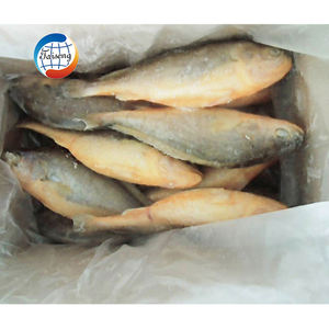China suministra alta calidad IQF Frozen Yellow Croaker Fish Whole & Guteed Farm Fish con el mejor precio <span class=keywords><strong>para</strong></span> la venta - Product Image 3