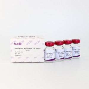 Prueba de control de anticuerpos positivos a Brucella para diagnóstico serológico de SAT/Brucelosis/pruebas de enfermedades en ganado - Product Image 3