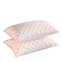 Oreiller cervical orthopédique en fibre de polyester 100% Oreiller à mémoire d'hôtel Oreiller de sommeil sain
