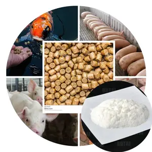 Aditivo para a alimentação animal formiato de cálcio em pó para suínos, aves e outros animais Aditivos para alimentos para animais