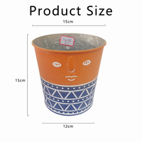 Seaux en métal à visage autochtone galvanisé décoration jardinière fer plantes conteneur maison jardin pot de fleur
