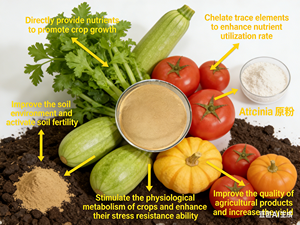 <span class=keywords><strong>Fertilizante</strong></span> en Polvo de Aminoácidos Orgánicos, 80% de Aminoácidos, Pureza del Cloro del 99%, para Plantas, Riego por Goteo, Pulverización <span class=keywords><strong>Foliar</strong></span>, Bolsas de 10 kg - Product Image 4