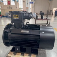 Motor Eléctrico a Prueba de Explosiones para Molino de Aceite, Compresor Centrífugo AC EX, 20/22kw, Kit de Motor Bldc E PMG