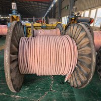 Câble d'alimentation en cuivre isolé XLPE et gainé PVC YJV 0,6/1KV pour l'exploitation minière, l'industrie et la construction - Fil électrique basse tension