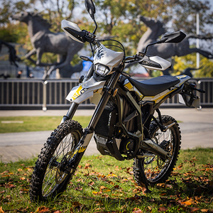 Oferta Especial: Motocicleta Todoterreno Suron Ultra B 74V 12500W 90km/h para Adultos, Edición Negra, Envío Gratis - Product Image 1