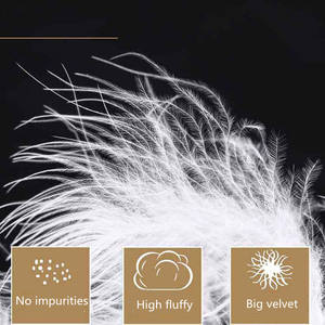 <span class=keywords><strong>Duvet</strong></span> <span class=keywords><strong>d</strong></span>'<span class=keywords><strong>oie</strong></span> blanc lavé 90, nouvelle norme nationale de vêtements, <span class=keywords><strong>duvet</strong></span> standard, matière première, <span class=keywords><strong>plume</strong></span> de remplissage <span class=keywords><strong>d</strong></span>'édredon - Product Image 3