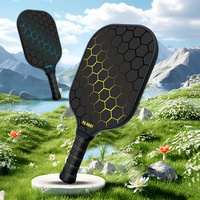 Panneau sonore Fibre de verre Pickle Ball Paddle Racket Bat PP Honeycomb Core Pickleball Paddle Handle