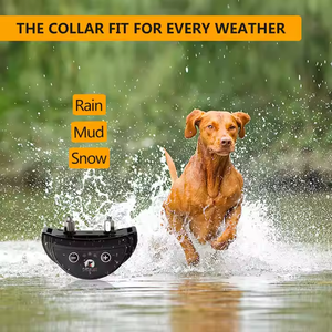 Collar de entrenamiento inteligente recargable E-Shock para perros, resistente al agua, de nailon, con peso personalizable, muestra gratis - Product Image 6
