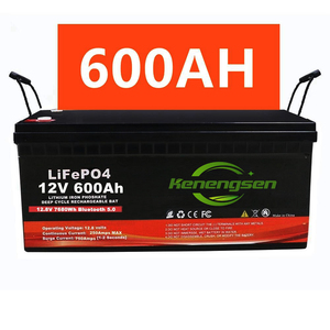 Baterías LiFePo4 Personalizadas al por Mayor, 12V 24V 48V 100AH 200Ah 300Ah 400Ah, Sistemas de Almacenamiento de Energía Solar - Product Image 2