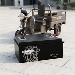 Batterie LiFePO4 72V 75Ah pour Tricycle Électrique Haute Puissance Longue Portée Cellule Cylindrique Étanchéité IP65 Système BMS 3000+ Marques - Product Image 1