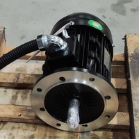 Motor Eléctrico de Frecuencia Variable de 30 kW con Inversor de Accionamiento Lateral y Eje de Repuesto - Precios