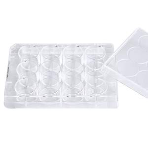 Plat Kultur Sel dan Jaringan 6well, 24well, 48well, 96well, Plat Kultur Sel yang Telah Diolah TC - Product Image 5