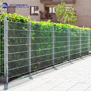 Recinzione in Rete Metallica da 4mm con Rivestimento in PVC o Verniciatura a Polvere, Design per Cancello Principale, Moderno Design per Finestre e Porte in Ferro Battuto - Product Image 1