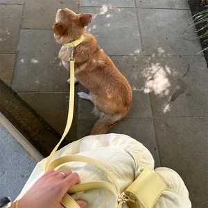 Konfor hissediyorum kolu özel renk turuncu pembe deri Pet kurşun yaka Set lüks el yapımı zanaat yüksek kaliteli deri köpek tasma - Product Image 6