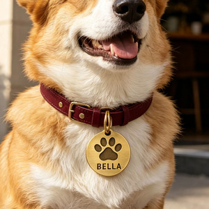 Prix de gros : Accessoires de collier modernes imitation antique pour chats et chiens, et plaques d'identification minimalistes vierges pour chiens, gravables avec nom et téléphone. - Product Image 2