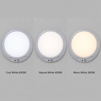 Lumière à détecteur de mouvement rechargeable à longue durée de vie de la batterie, éclairage LED haute luminosité pour armoire, placard, garde-manger