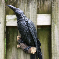 Décoration murale gothique en résine, corbeau réaliste perçant, sculpture murale d'oiseau, corbeau noir pour Halloween, décoration murale à thème sombre pour la maison et les pubs