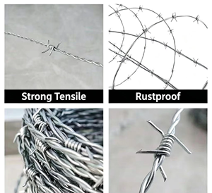 Alambre de Púas Galvanizado para Cercas, Alambre de Hierro Antirrobo, Alambre de Púas de Doble Hilo - Product Image 3