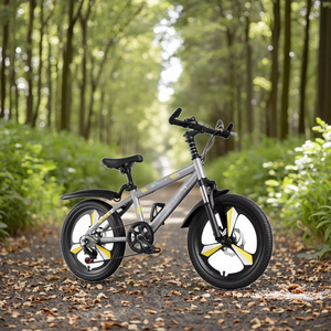 <span class=keywords><strong>Bicicleta</strong></span> BMX <span class=keywords><strong>para</strong></span> <span class=keywords><strong>Niños</strong></span> de 18-24 Pulgadas, Directo de Fábrica, Color Dorado, con Frenos de Disco, 6 Velocidades, Neumáticos <span class=keywords><strong>para</strong></span> Nieve con Absorción de Impactos y Horquilla de Acero - Product Image 2