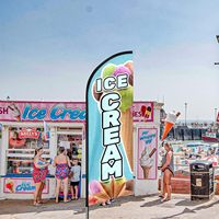 Drapeau publicitaire personnalisable en plumes, double face, pour extérieur, ventes promotionnelles, plage, glaces