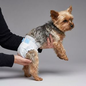 Pañales Desechables para Mascotas con Logotipo Personalizado, Súper Absorbentes y a Prueba de Fugas, con Empaque de Marca Privada, Fábrica OEM ODM - Product Image 5