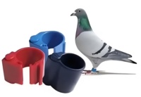 Bande électronique d'oiseaux RFID 860-960 MHz Mini puce T5577 étiquette Rfid pour le suivi des oiseaux Application de paiement d'hôtel Communication NFC