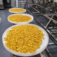 Industriële voedsel-microwavestoomdroger voor vlees, fruit, verse bloemen en specerijen.