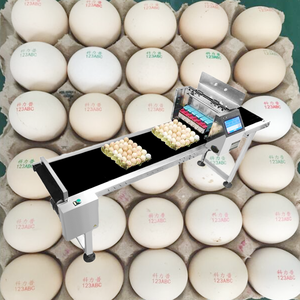 Proveedor Chino de Máquinas Impresoras de Huevos por Inyección de Tinta, Máquinas de Codificación HD, Impresoras de Huevos de Gallina por Inyección de Tinta en Oferta con Precios Económicos - Product Image 1