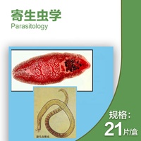21 pcs for medical school Parasitology slides, Human parasitolgy slides , Biology parasitolgy slides