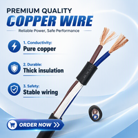 Cable Eléctrico Flexible de PVC de Bajo Voltaje RVV de 2 Núcleos y 1.0 mm², Cable de Cobre para Suministro de Energía y Cableado General
