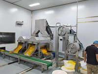 Geconcentreerde Mangopulp Puree Sap Maken Machine Mango Jam Verwerkingslijn