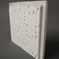 Plafond suspendu en fibre minérale acoustique WLX 2x4, design de panneaux de plafond suspendu, dalles de plafond noires pour hôpital