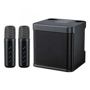 Mini microfone subwoofer portátil profissional para adultos, caixa de alto-falante para letras de karaokê, com dois microfones, canções sem fio