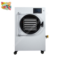 Kleine Vriesdroger Voedsel En Fruit Machine Fruit Melk Koffie Kiwi Fruit Vriesdroger Sublimatie Condensatiedroger