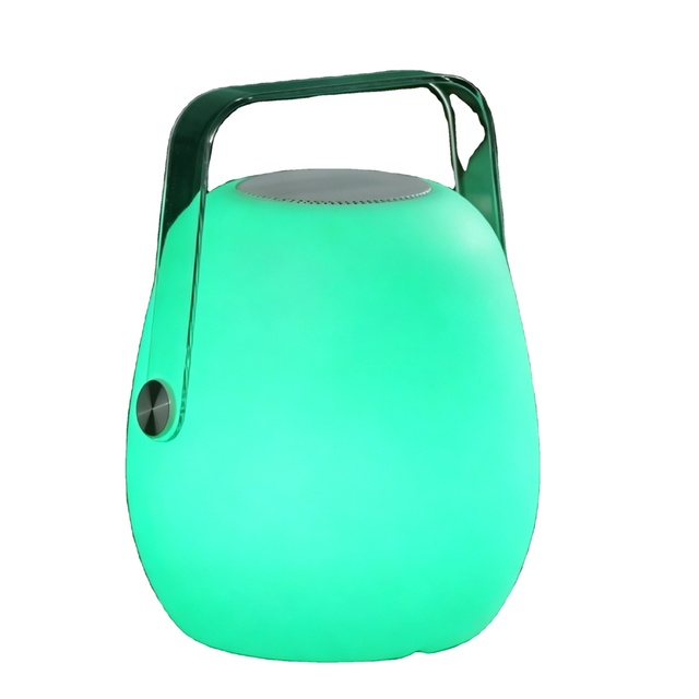 Wireless  Speaker with LED Light, Portable Remote Control Lamp Speaker with Carry Handle for Home & Travel