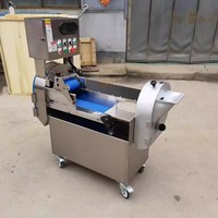 Multifunctionele Groene Ui Plantaardige Chopper/Groente Snijmachine/Fruit Cutter
