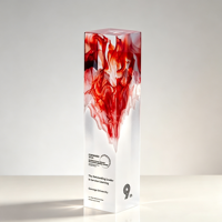 Trophée en cristal personnalisé avec gravure artistique fluide et inscription personnalisée pour la reconnaissance des réalisations modernes